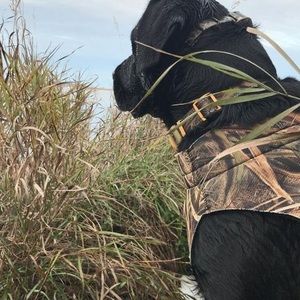 Meet your Posher, Ben